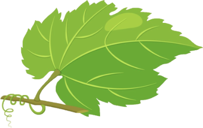 grape_viner_leaf_1